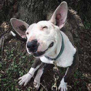 Meet your Posher, Laura lee